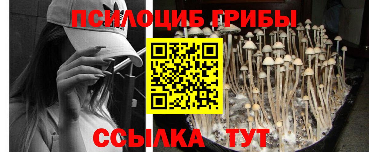 Галлюциногенные грибы GOLDEN TEACHER  Псилоцибиновые грибы Psilocybe  Вход с VPN  Новый Уренгой 
